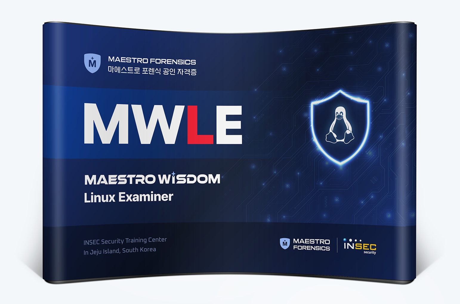 MWWE (MAESTRO WiSDOM Windows Examiner)